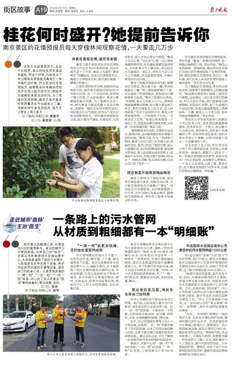 推拿保健:打造身心健康的秘密武器
